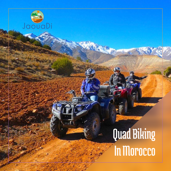 Jaouaditours's tweet photo. #quadbiking #morocco #travel #adventure https://t.co/8ja4hkPJ0a https://t.co/yyWGHnx4qm