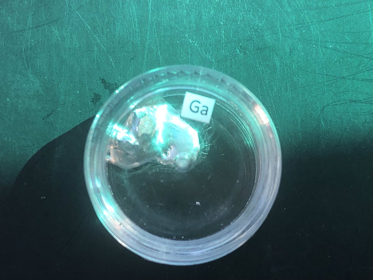 Mel Grieve tweet media