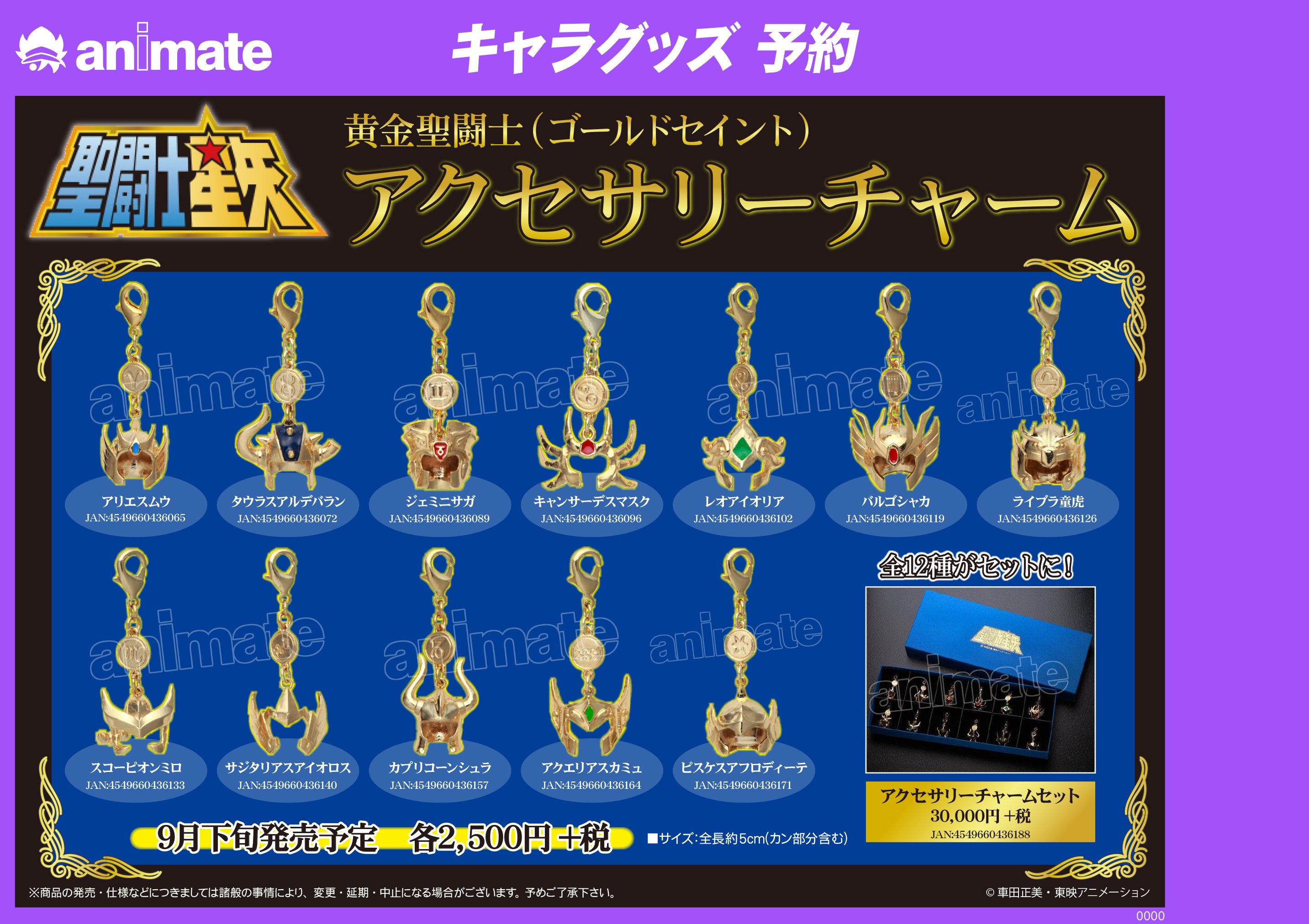聖闘士星矢 黄金聖闘士（ゴールドセイント）アクセサリー