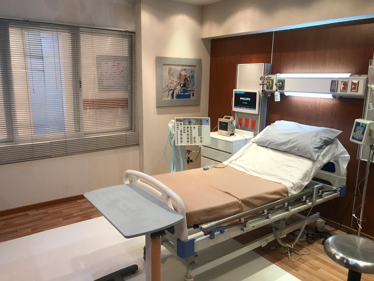 ADOPCIÓN ARISTEMO en este cuarto alguien llegará?#elcorazonnuncaseequivica