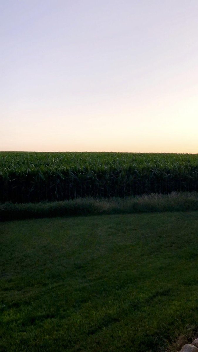NateGink's tweet photo. NW Iowa June 10 vs July 10 https://t.co/XTSTQYMDoe