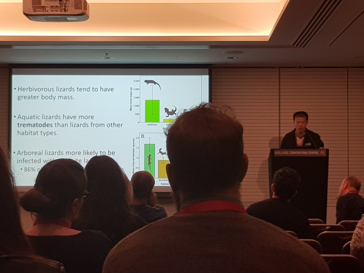 Dylan_Corner's tweet image. Great talk by @The_Episiarch about helminth parasit communities in lizards #2019ASP