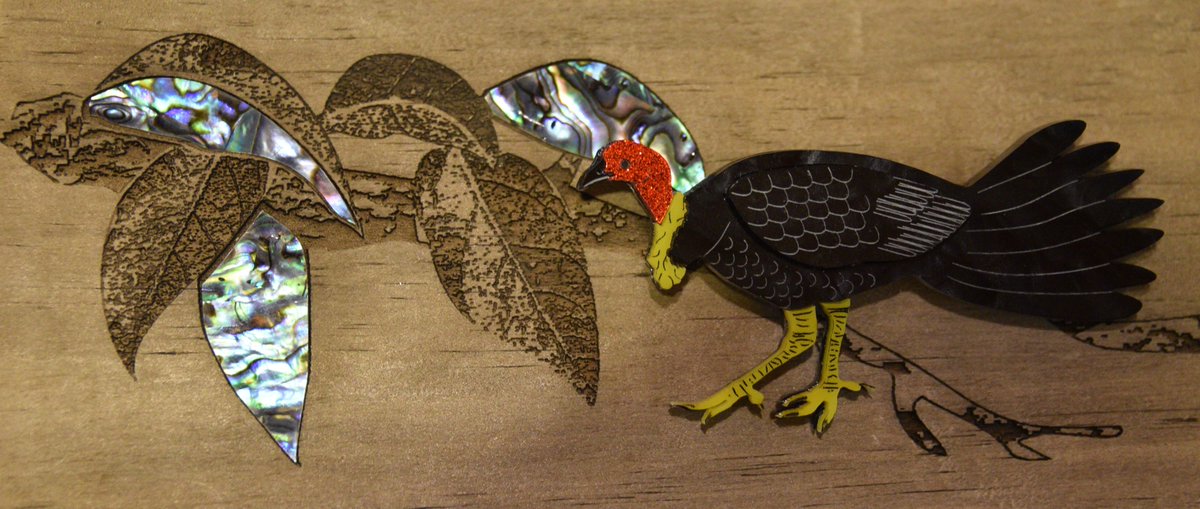 CaralynKemp's tweet image. This guy got a great reception on his first outing! #brushturkey ♥