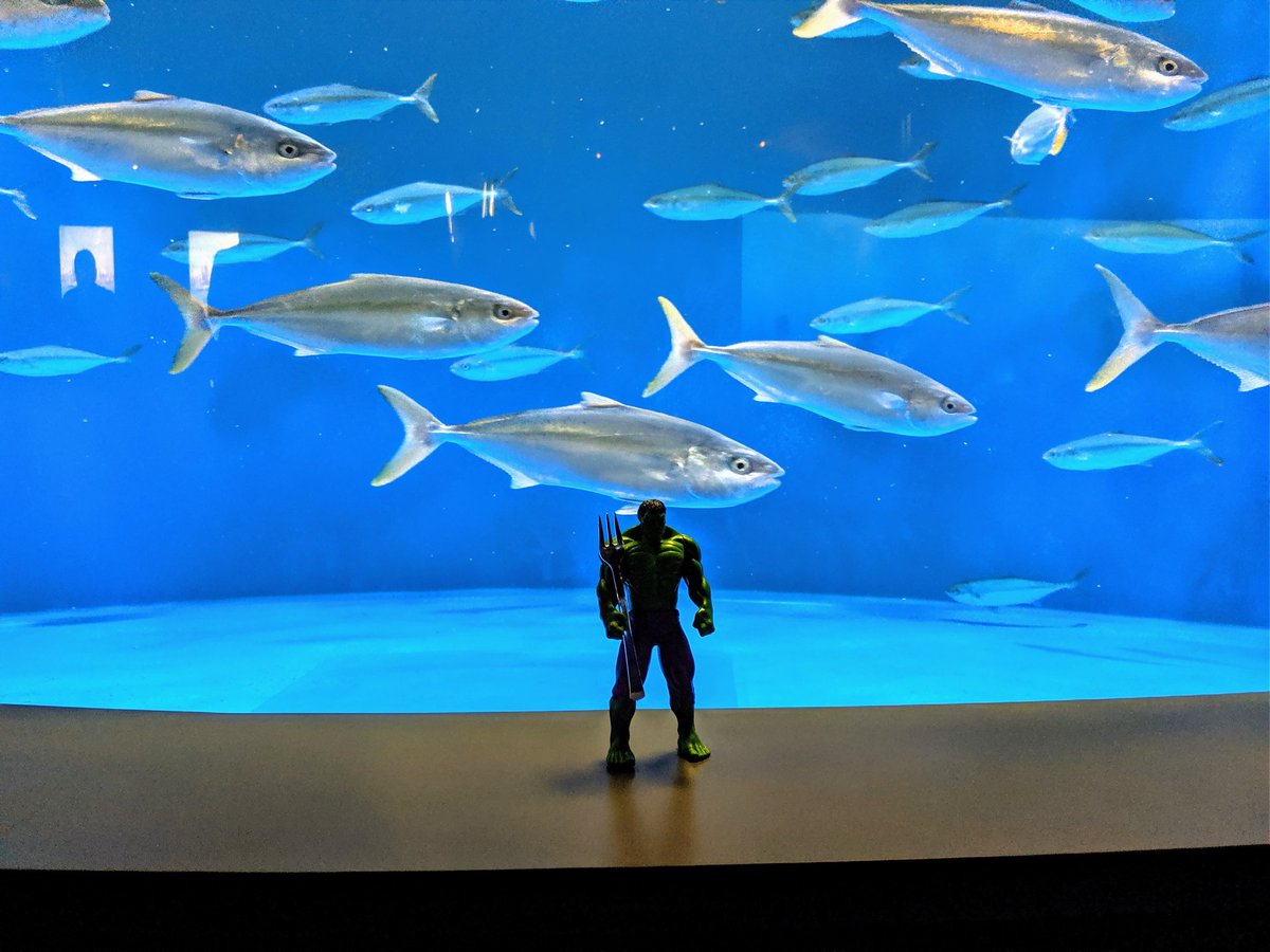#InstCon Hulk is new king of the fishes!