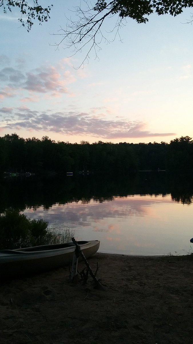 EAVGuchte's tweet photo. Life is precious & changes in a moment. At times for better, others a challenge.
Seeing things thru a grateful lens puts the mind at ease & resets perspective. An invisible blanket of peace covers you, it makes you stronger.
May you too reflect & find
#PeaceInItAll.
#gratitude https://t.co/RmnB1FVaXg