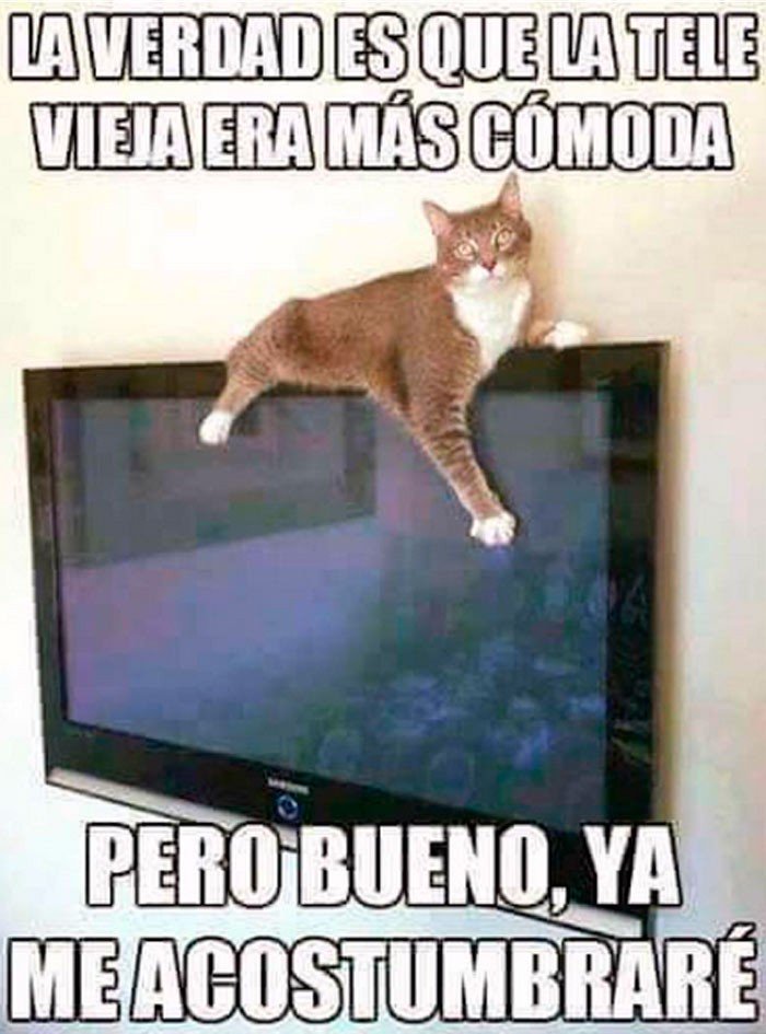 - Aca extranad el pasado ! hahaha