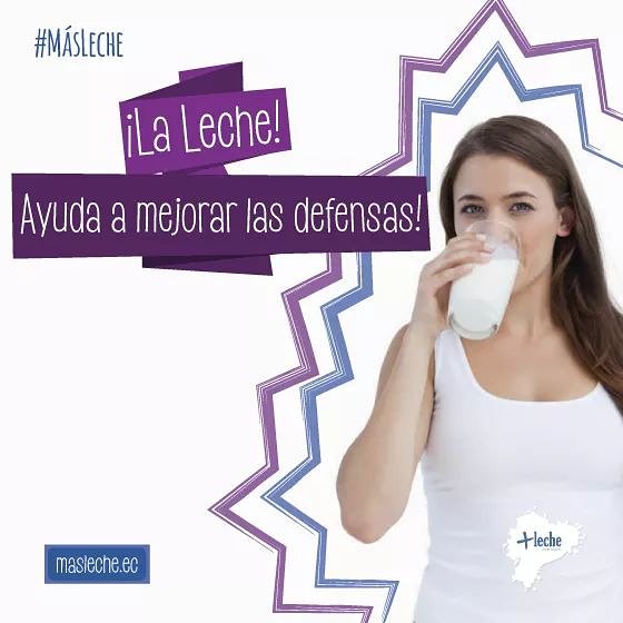 MasLecheEcuador's tweet photo. Por sus nutrientes y vitaminas, la leche 🥛 es un alimento fundamental para fortalecer las defensas de nuestro organismo 💪 Aprende más aquí: https://t.co/aYrk1PUGFw #DefensasAltas #Nutrientes #Vitaminas #Leche #MásLeche #ViveSanoEc https://t.co/bDxmRs4wbn