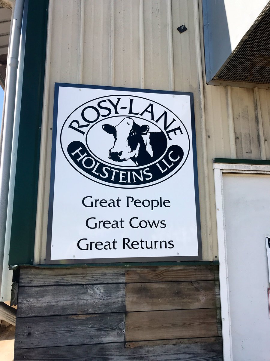 JessicaSimms11's tweet photo. Today we visited @Rosy_Lane               👨‍👩‍👧‍👦Great People                                       🐮Great Cows                                    💶 Great Returns                                                  Thank you for hosting us! #LouiseHartleyScholarship @FarmersGuardian https://t.co/icEdOeBegb