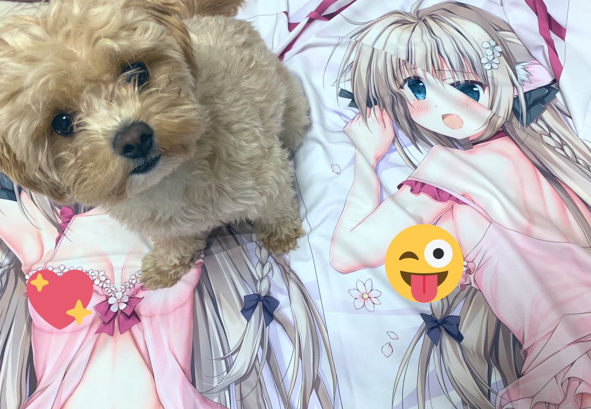 「抱き枕カバーの色校正きたよー!綺麗!えちえち! 」|梱枝りこ🐶冰剣の魔術師アニメお疲れ様でした！のイラスト