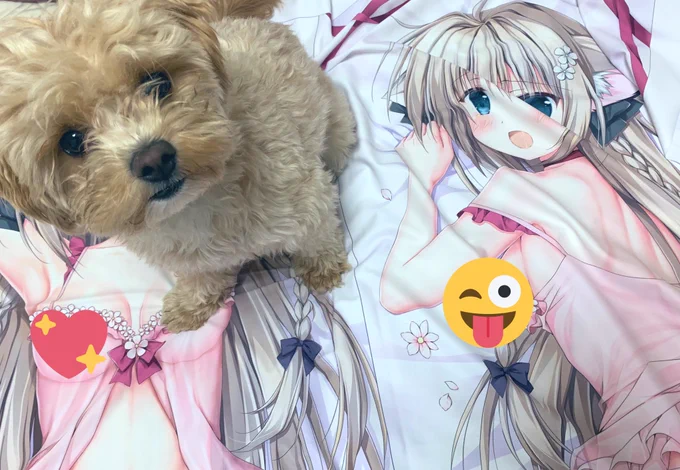 抱き枕カバーの色校正きたよー!綺麗!えちえち! 