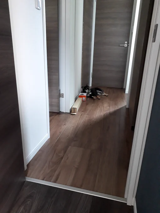 仕事してると癒しを届けに来る? 