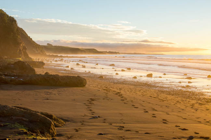 LFenceposts's tweet photo. Rural Generalist CME 2019; 1-3 November in the Beautiful Taranaki https://t.co/AAvzeJPM9O #ruralhealth #rural #MedEd https://t.co/GYCyFh67HO