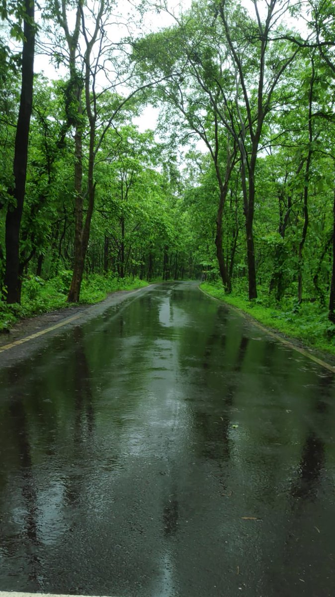 curious__coffee's tweet image. If the heat bothers you, plant a tree.
If the water bothers you, plant a tree.
If you like fruits, plant a tree.
If you like birds, plant a tree.
And
If you like Life , plant many trees.

#morningvibes
#ThursdayThoughts
