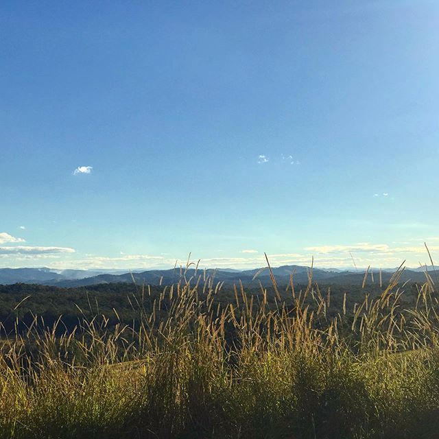 MakingLifeReal's tweet image. • Minimbah • 
View from the top of the hill near where we were staying, beautiful! Time to take in the beauty, few deep breathes and ready to face the day. .
.
.
.
#countrylife #nsw #scenery #photography #photooftheday #australia #traveloz #lapofoz #… ift.tt/2JCRtQn