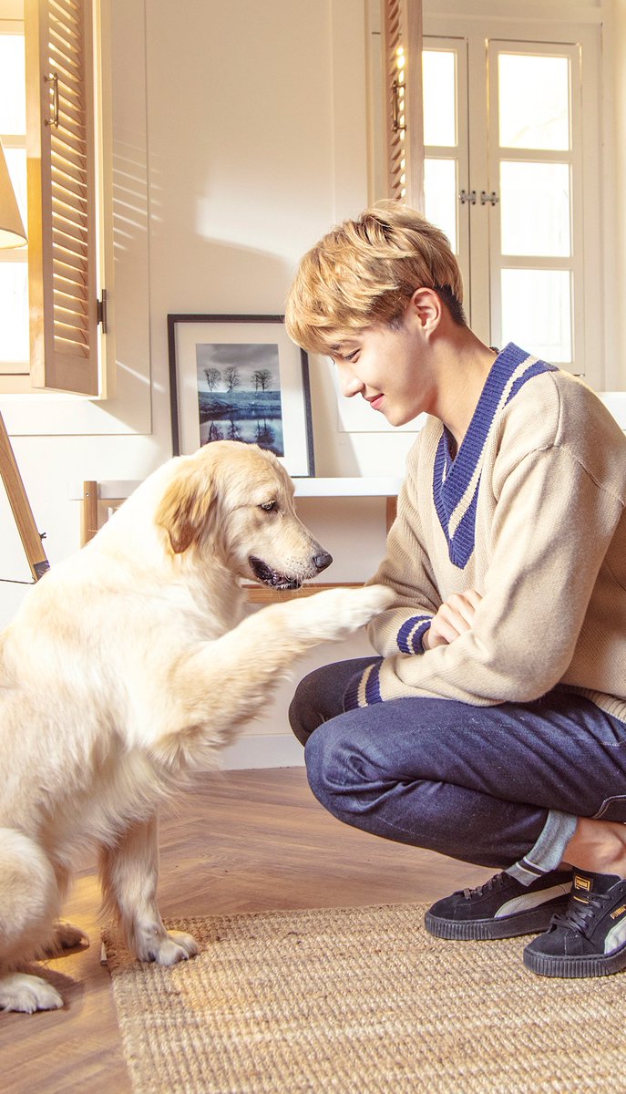 HedwigsHooting's tweet photo. 앙잉~ 🐶🐿 https://t.co/u8vuVnLg3m
