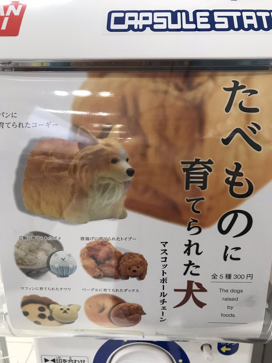 東急ハンズ梅田店 V Twitter あれ 何かに似てるな そんな犬いますよね そう それはきっと食べ物に育てられたのでしょう 見て このご飯に育てられたポメの擬態感 10f