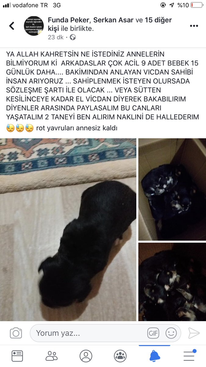 fulyaz15's tweet photo. @YUSUFYAKUB1453 Hoçam şu ilanımı dağıtıver durum acil. https://t.co/71JcBh3bup