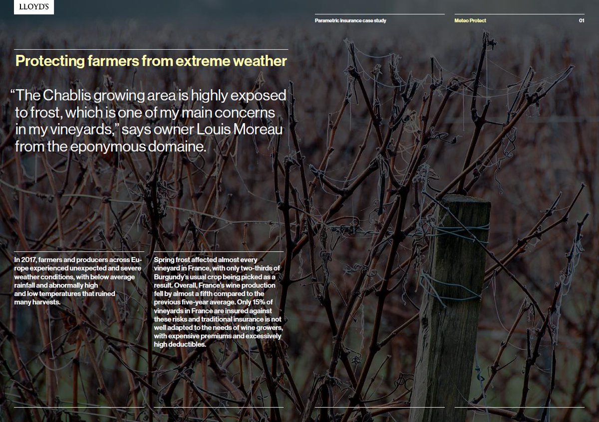 meteoprotect_en's tweet image. The parametric insurance at the heart of the @LloydsofLondon event !
@meteoProtect is proud to be part of this study:

🌟 We thank for their trust our partners @asajajaen and the office #Baugé for the #Moreau domain in #Chablis who are honored in this report!🌟

#LloydsReports