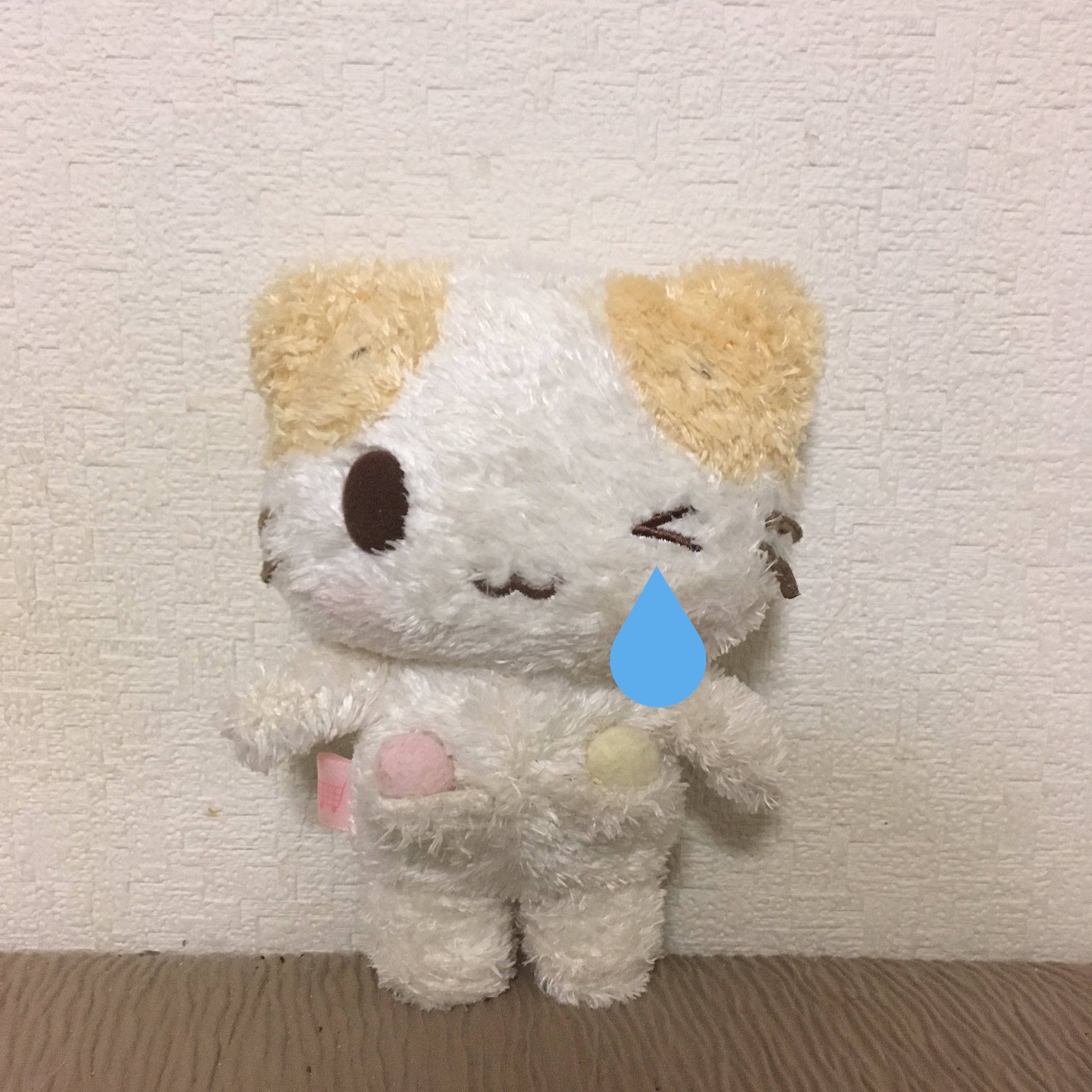 マシュマロみたいなふわふわにゃんこ SANRIO(一時休止中) on X: