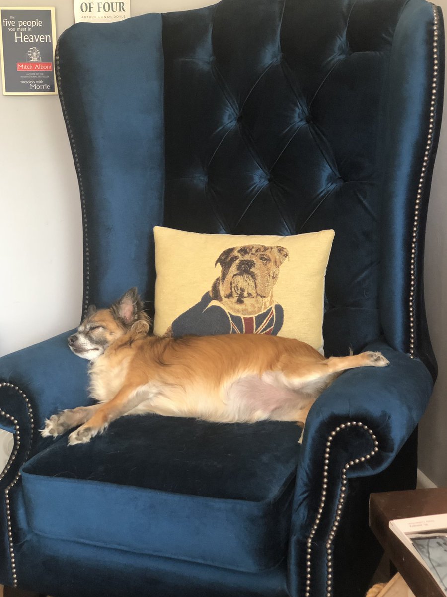 alfit_d's tweet image. Just letting it all hang out 💤💤