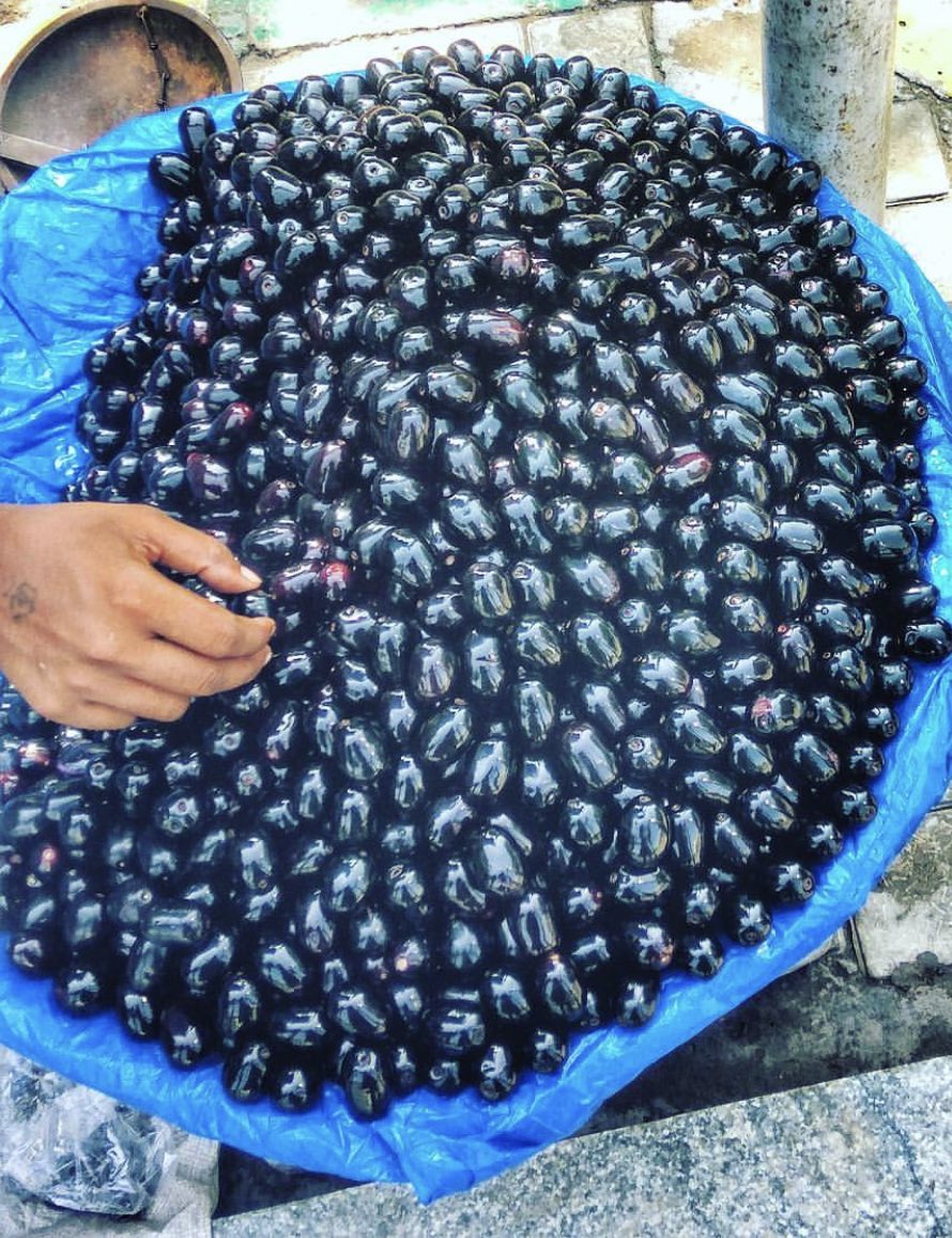 thisiszahid_'s tweet image. Summer bliss 😇💜 #javaplum