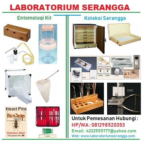 labpertambangan's tweet photo. Jual alat-alat serangga untuk pengendalian vektor dan koleksi serangga untuk pemesanan hubungi 081298520353 atau kunjungi https://t.co/5PkEfPTnuh #entomologykit #kandangnyamuk #mosquitobreeder #insectpin #jarumserangga #aspirator #insecttrap #insectnet https://t.co/vB0yimELH5