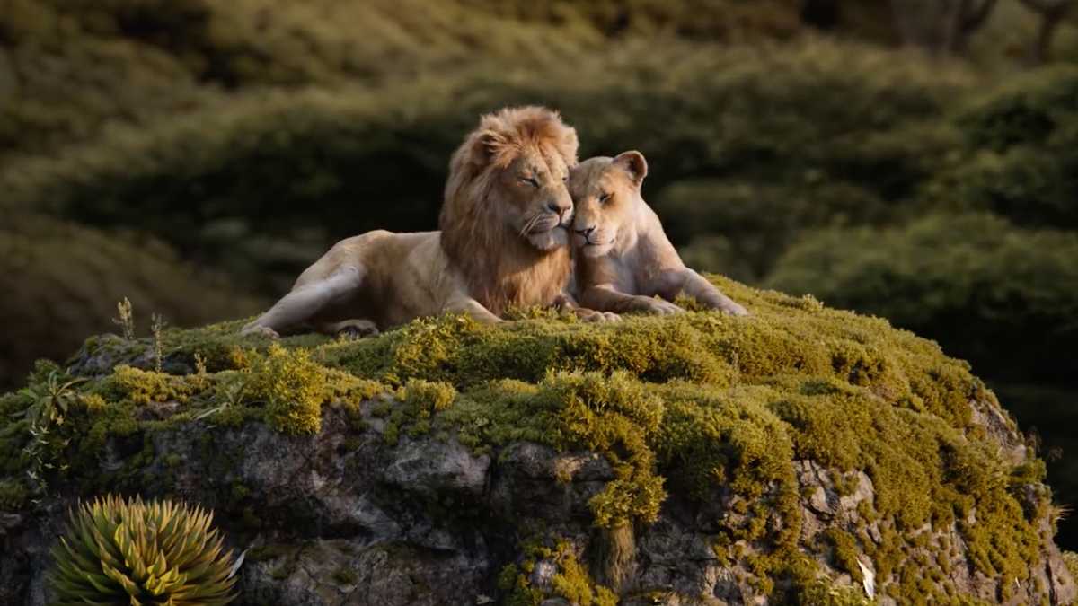 filmfanthailand's tweet photo. บอกหน่อยว่าใน #TheLionKing เวอร์ชั่นนี้
อยากฟังเพลงไหนกันมากที่สุด 

#TheCircleOfLife
#JustCantWaitToBeKing
#BePrepared
#HakunaMatata 
#CanYouFeelTheLoveTonight

แล้วพุธหน้ารอชมกันได้เลย ในโรงภาพยนตร์
#TheLionKingTH #ต้อนรับเจ้าป่า https://t.co/BZCUlDfWkr