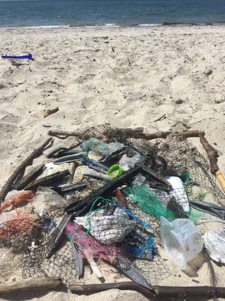 Paseo del Plástico tweet media