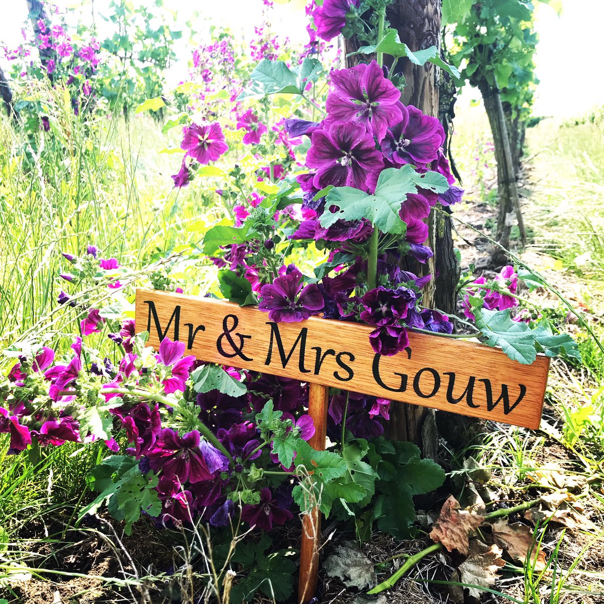 Bloemplukdag! 21 juli is het zo ver 🌸 Kom zelf je veldboeket samenstellen en geniet op het terras van het prachtige uitzicht op de wijngaard .. en een glas wijn!😉 #wijngaardevents #nederlandsewijn #flowerpower #bruidsboeket #Mr&amp;MrsGouw