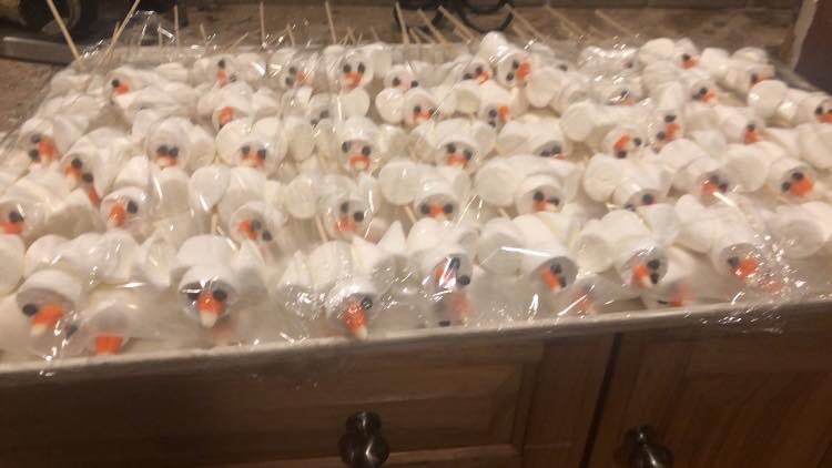 mrssnyder007's tweet photo. When your VBS script calls for 100 marshmallow PEEPS in the middle of summer, you have to get creative! #GroupVBS #GroupRoar #Roar #StPeterTheApostleFallbrook https://t.co/gTsH7L4giU