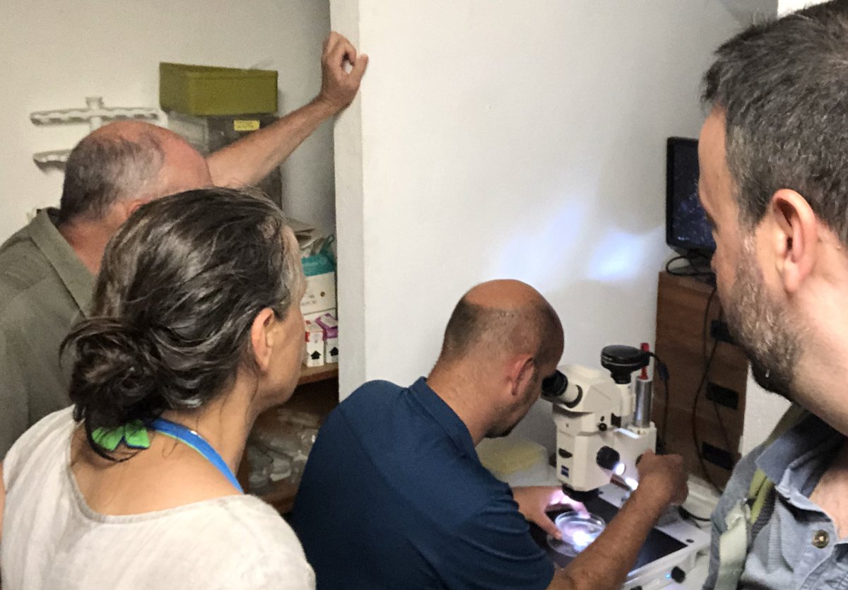 evodevogenomeUB's tweet photo. Incredible day in villafranche-sur-mer durig #10thITM #Tunicate2019. First plankton netting with @Alex__McDougall and #UteRothbacher, and then examination of the microcoscopic amazing fauna with @fabien_lombard, a world master leader on the knowledge of #appendicularian. Thanks https://t.co/bRGOLJQBGL