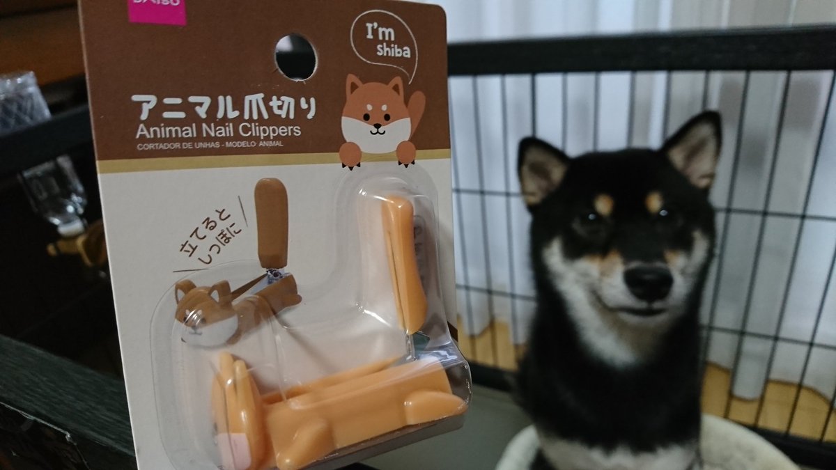 Tweet 柴好きにはたまらない １００均の柴犬グッズの充実っぷりが