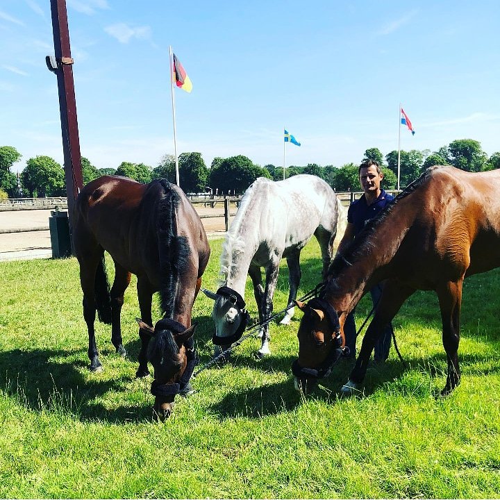 Better4Hooves tweet media