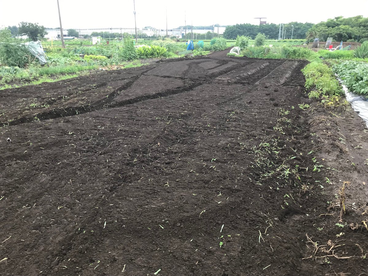 KUROEMAN tweet media