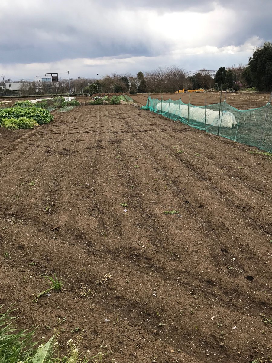 KUROEMAN tweet media