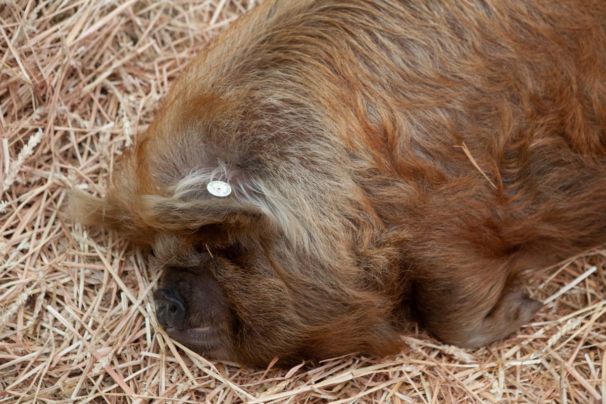 Three Counties tweet media