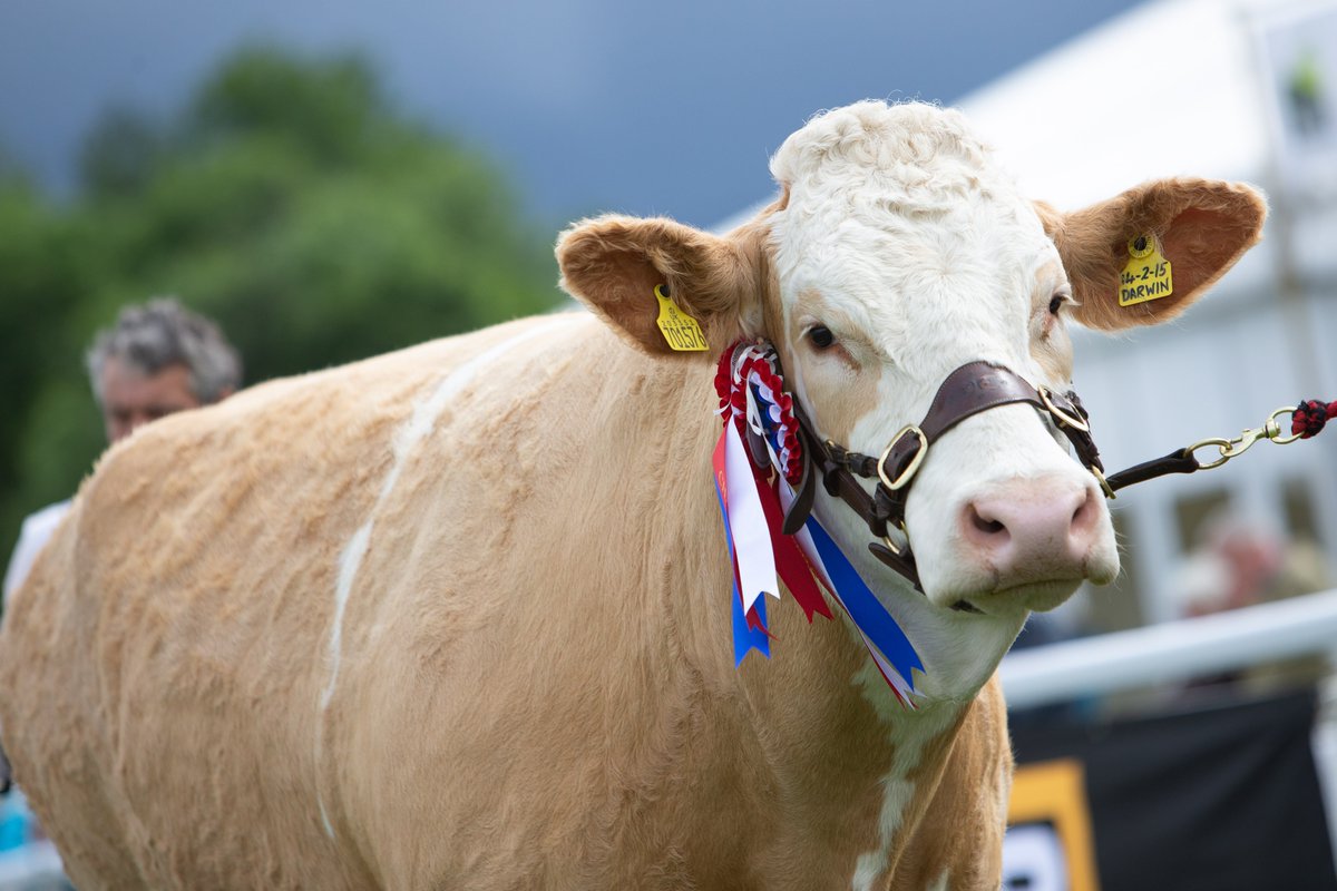 Three Counties tweet media