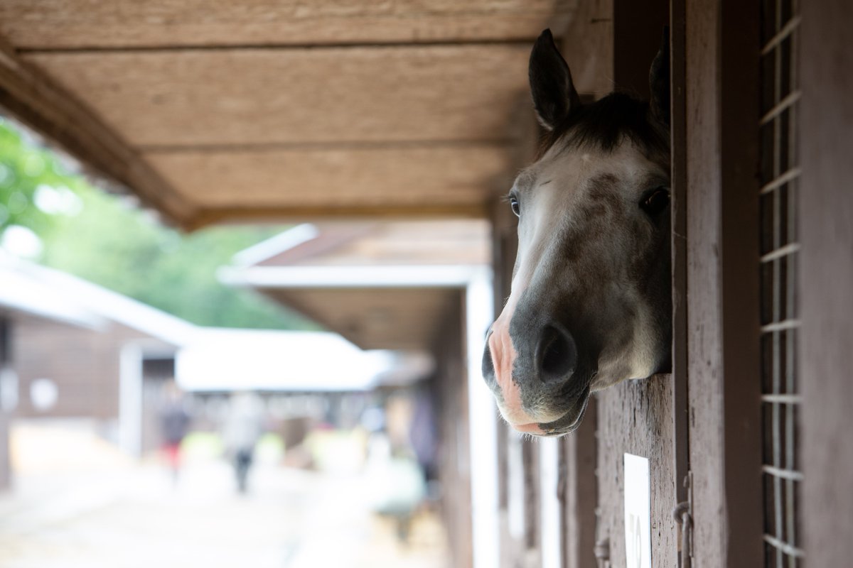 Three Counties tweet media