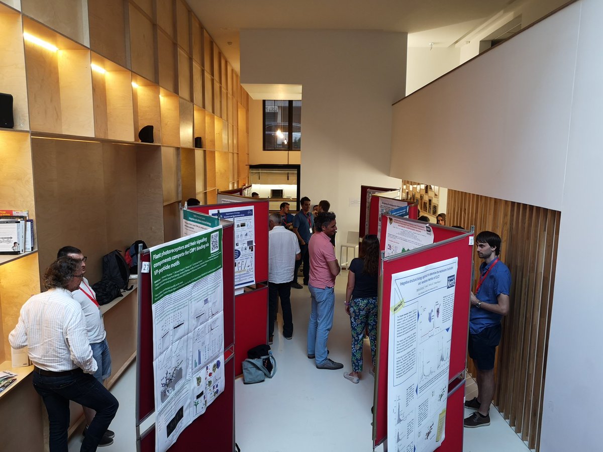 IvaSucec's tweet photo. @EMBOevents Integrated Structural Biology course @institutpasteur  Yesterday evening, poster session after full day of great #NMR talks from @nadia_izadi, S. Zinn-Justin, P. Schanda, B. Bardiaux and practical lesson #HADDOCK by @amjjbonvin! https://t.co/aF0OPZZtK6