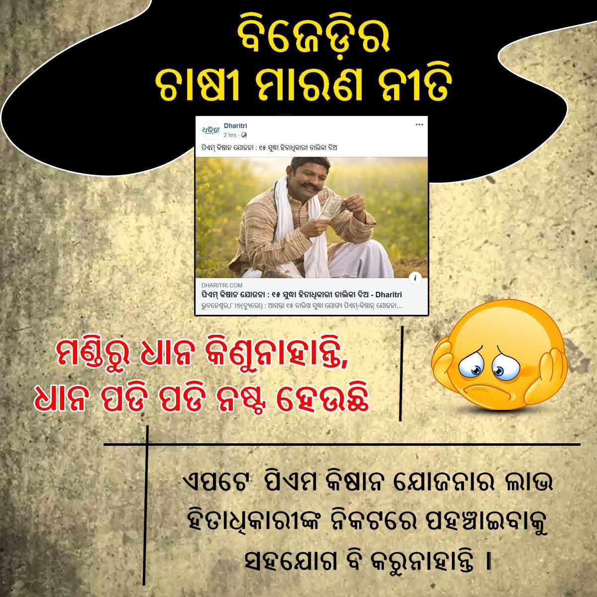votepainbaya's tweet photo. ବିଜେଡ଼ିର ଚାଷୀ ମାରଣ ନୀତି । ମଣ୍ଡିରୁ ଧାନ କିଣୁ ନାହାନ୍ତି, ଧାନ ପଡି ପଡି ନଷ୍ଟ ହେଉଛି ।
#AgricultureScam #BJDScam #OdishaUpdates https://t.co/1W3tLduDWu