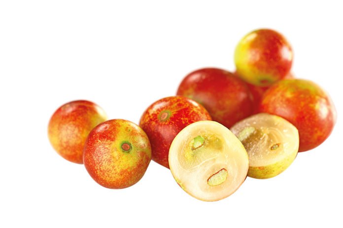 Ondalium's tweet photo. 🍒Stevia
🍒Coco
🍒Camu camu
🍒Ajo negro
🍒Cacao crudo 

Estos son los 5⃣ superalimentos de los que te habla Estilo y Vida de @semana_revista para mejorar tu salud ➡️ https://t.co/nxhuStJR1k https://t.co/aez9h584eE