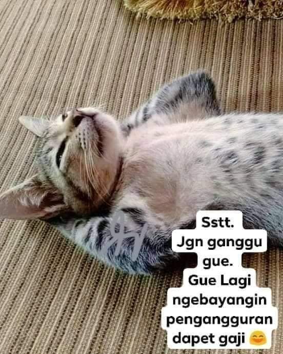 OedayaRully's tweet photo. @msaid_didu @teukuzulkarnain 

Penyembahnya senang diberikan angin sorga, dan saat sadar cuman pepesan kosong, hanya cengar-cengir saja....

Sementara sesembahannya narsis dipuja laksana dewa, pun saat harus bicara fakta:
Kapan saya bicara begitu; kalau perlu:
ITU BUKAN URUSAN SAYA!! https://t.co/c0hBkNLWQ3