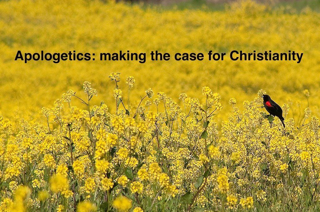 ThePoachedEgg's tweet photo. Why #Apologetics? https://t.co/iC5uSzOAIS https://t.co/vqlN9xn0Xa
