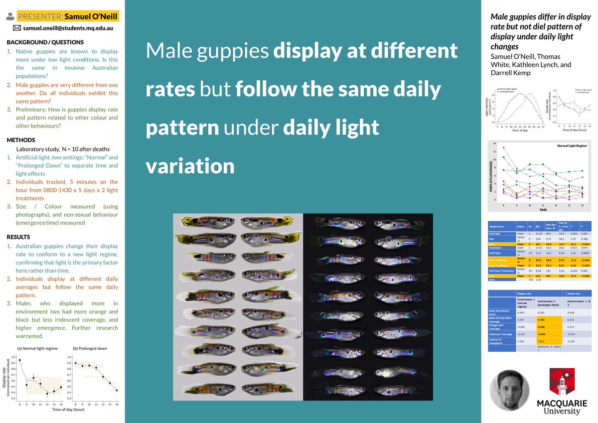 SamuelJONeill's tweet photo. Had my go at the @mikemorrison poster template (thanks). Felt it did a great job at communicating ideas, though it's hard to grab attention with all the amazing graphic design heavy posters around. Would definitely look to combine the approaches if I do another. #ASSAB2019 https://t.co/lv93yB304S