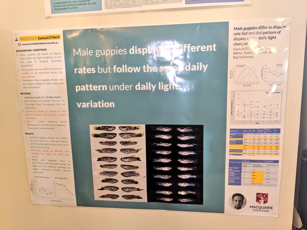 SamuelJONeill's tweet photo. Had my go at the @mikemorrison poster template (thanks). Felt it did a great job at communicating ideas, though it's hard to grab attention with all the amazing graphic design heavy posters around. Would definitely look to combine the approaches if I do another. #ASSAB2019 https://t.co/lv93yB304S