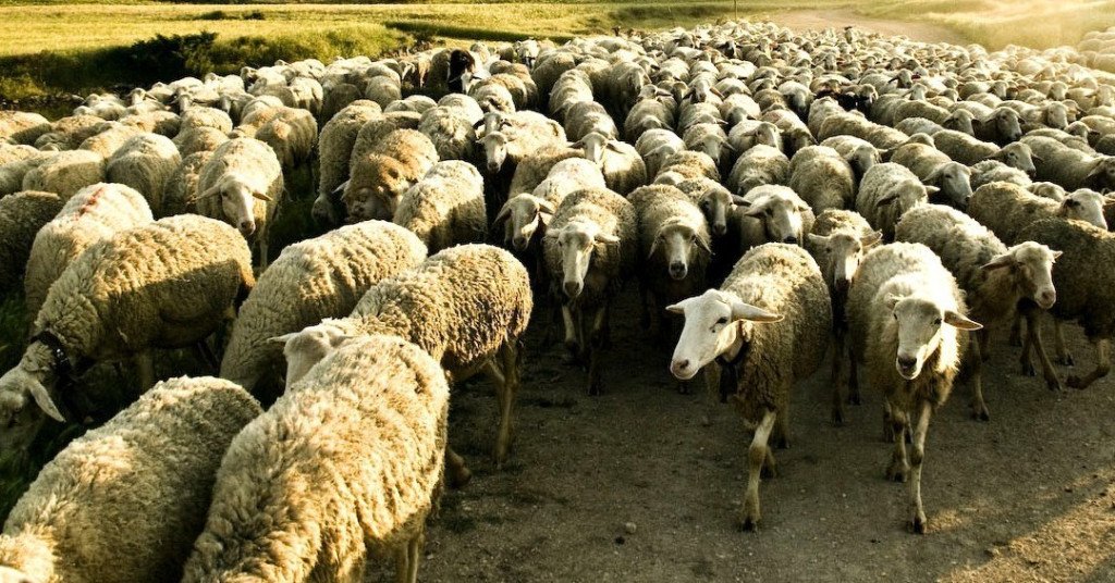 RafaPros's tweet image. 7 consejos útiles para llegar a ser… ¿un buen Gurú? gclveran.com/2019/07/11/7-c…