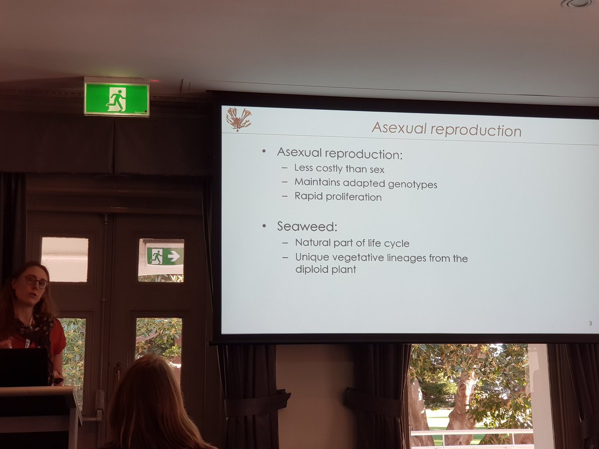 marinecologist's tweet photo. Now time for @vranken_sofie from @BiolSci_UWA to tell us about what #genetic and #genomic techniques can teach us about valuable #kelp populations #AMSA2019 #GreatSouthernReef #LessCostlyThanSex https://t.co/BVNrjWn2ng