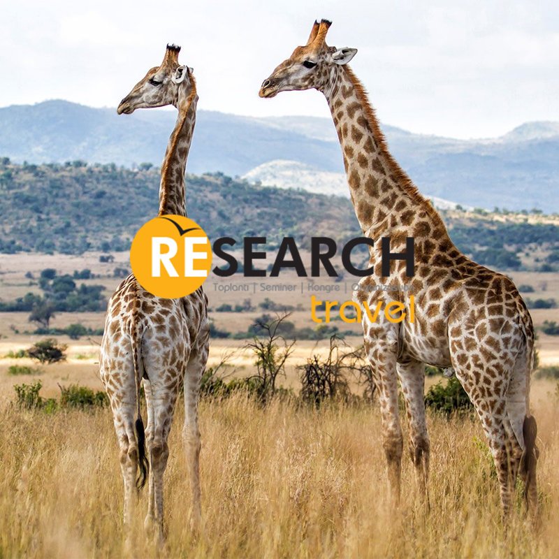 Büyülü bir coğrafyaya doğru yola çıkmaya hazırsan Güney Afrika Turu’nda yerini ayırtmak için acele et! 10 Ağustos’ta yola çıkıyoruz…

Detaylı bilgi almak için tıklayınız : researchturizm.com/?page=iletisim

#researchturizm #tatil #yurtdışı #gezi #tur #afrika #güneyafrika #holiday