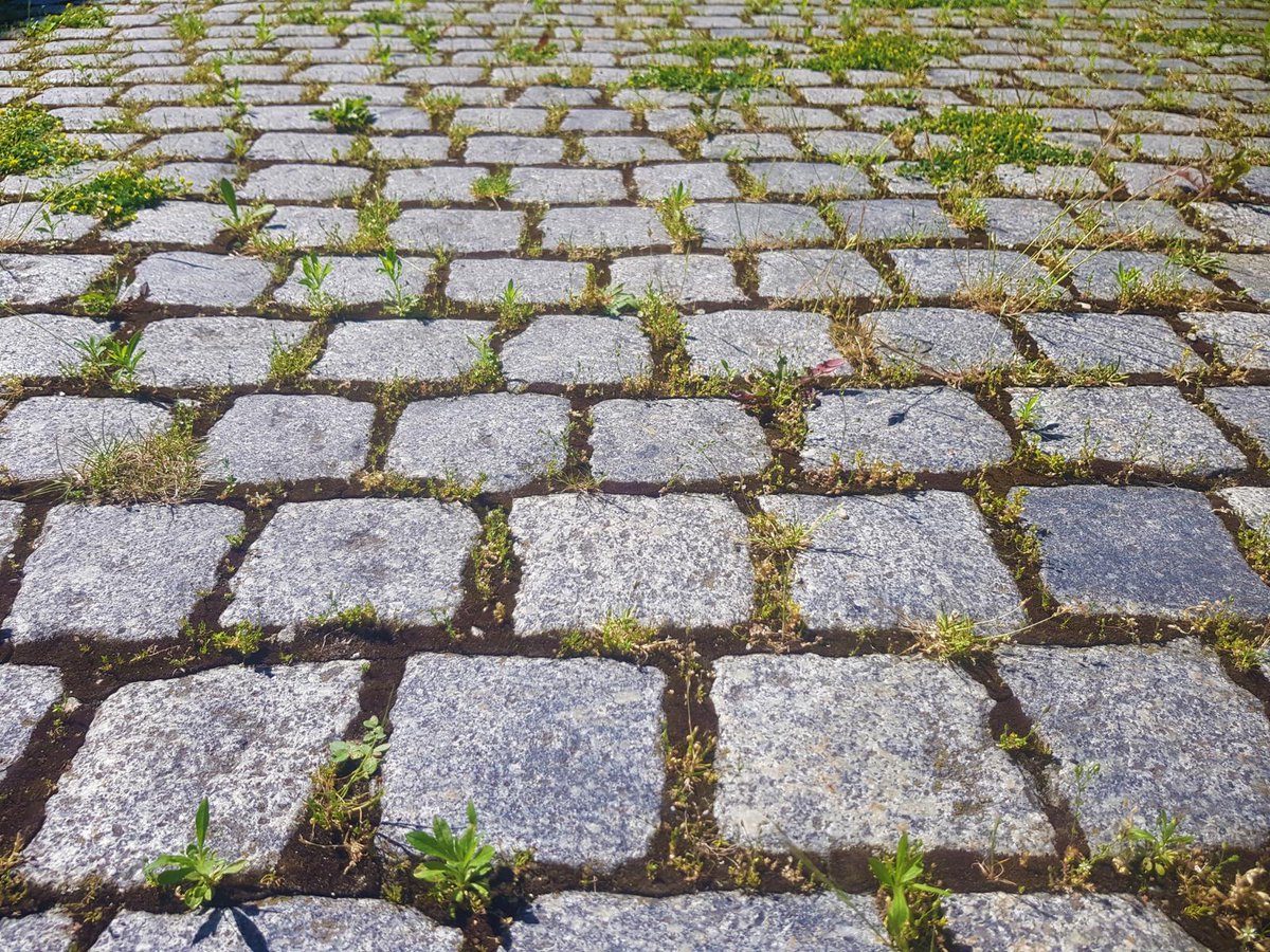 Historischebaustoffe On Twitter Man Muss Ins Gelingen Verliebt