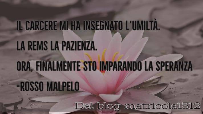 UMILTÀ, PAZIENZA, SPERANZA associazionematricola.com/2019/07/11/umi…